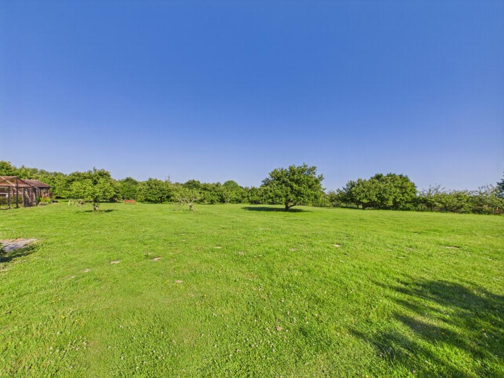 Meadow 9