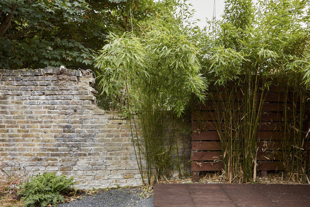 143028 - 220928 TMH 24A Lewisham Park, London_H...