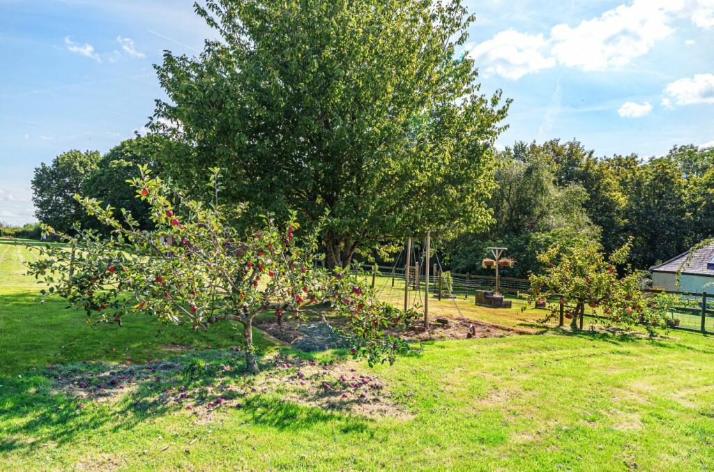 Grounds