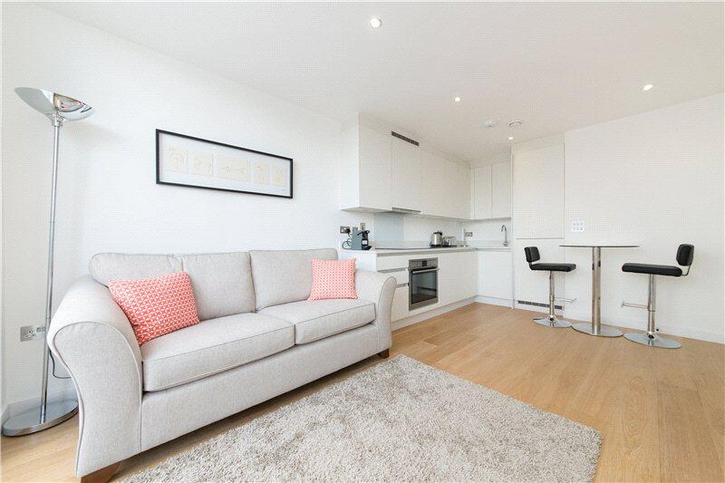 Kitchen/Living Area