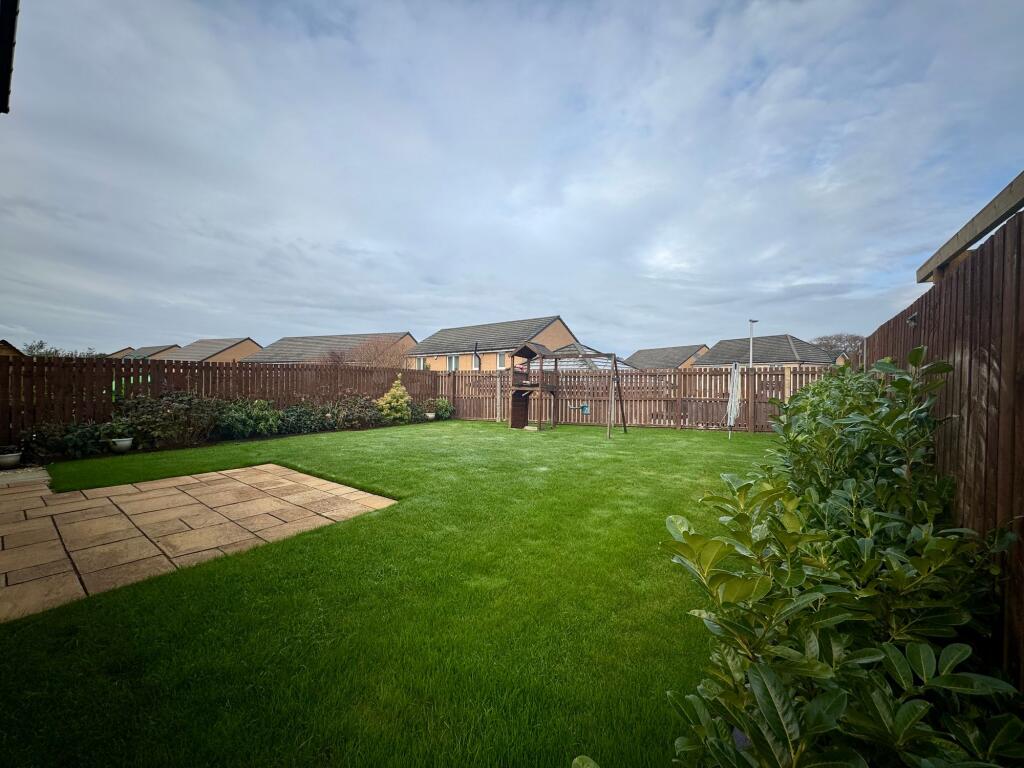Back Garden