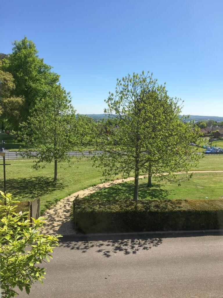 Grounds