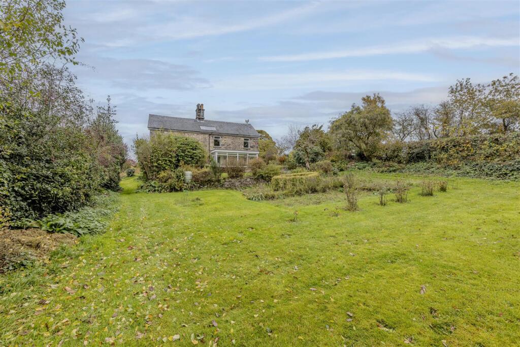 The Property
