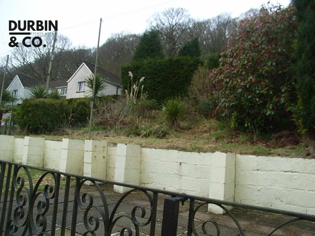 RIMG0029 - Copy (2).JPG