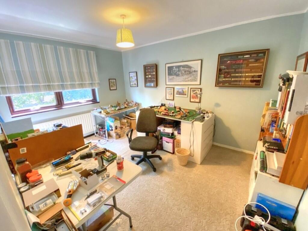 IMG_784_9_large_S...