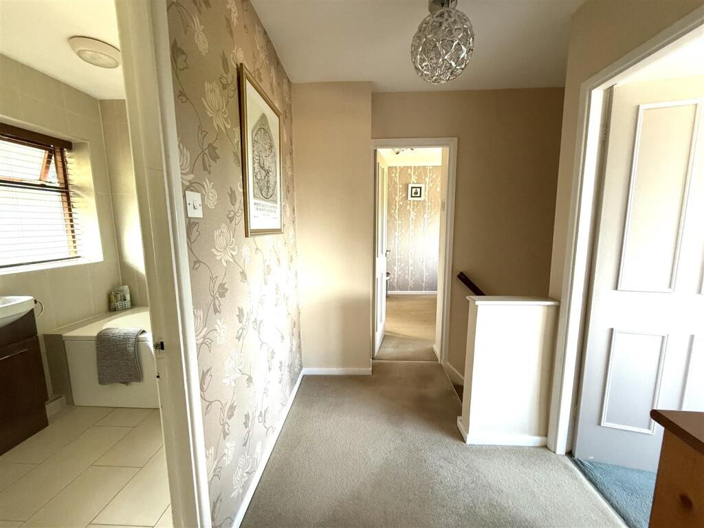 6 the pingle land.jpeg