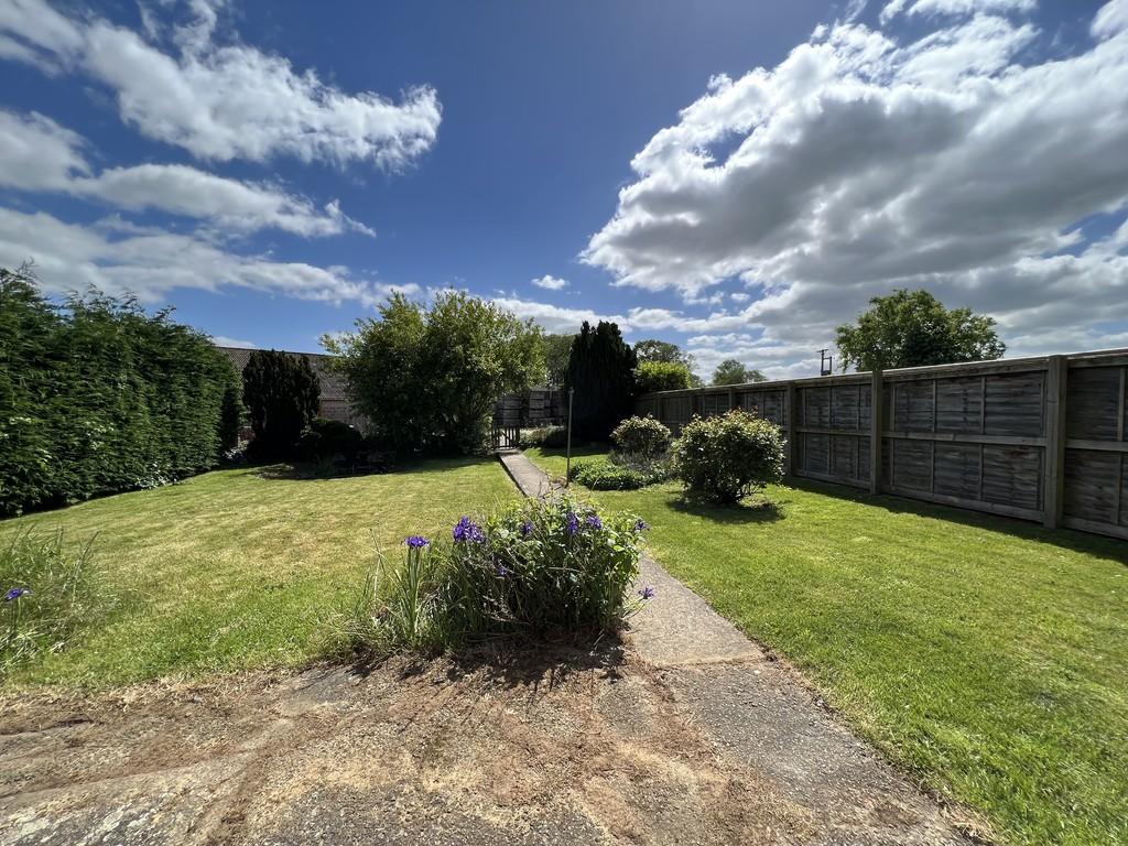 Back Garden