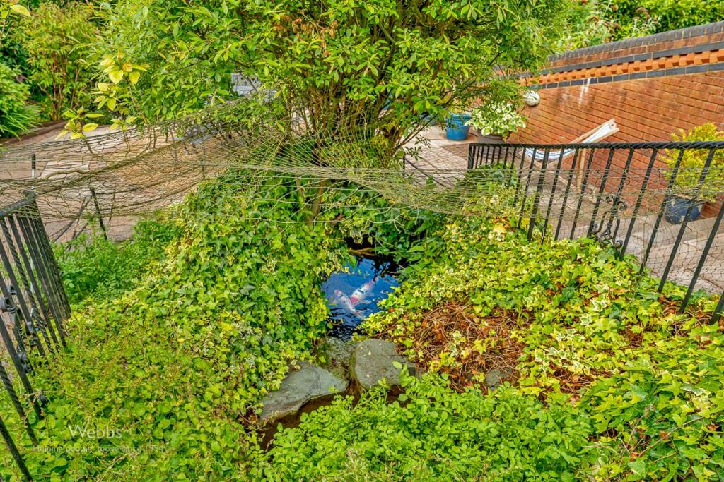 Webbs (125 of 136).jpg