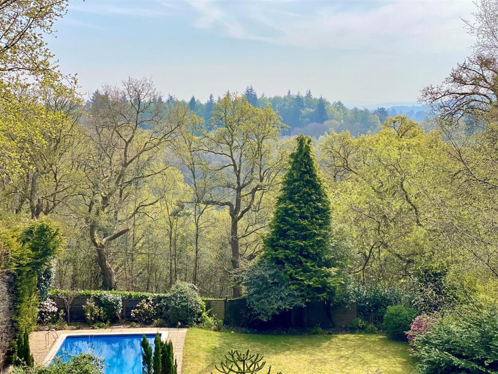Middle Coppice - portrait panorama.jpg