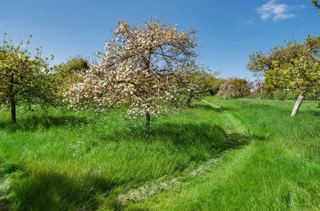 41-681a335754e07-...