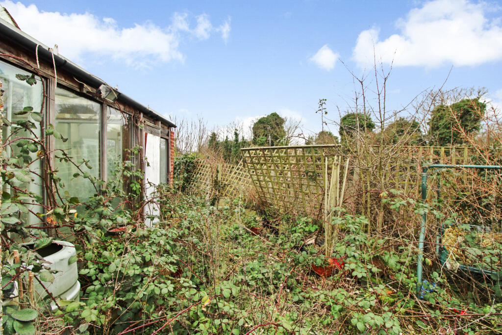 garden 3-46330276.JPG