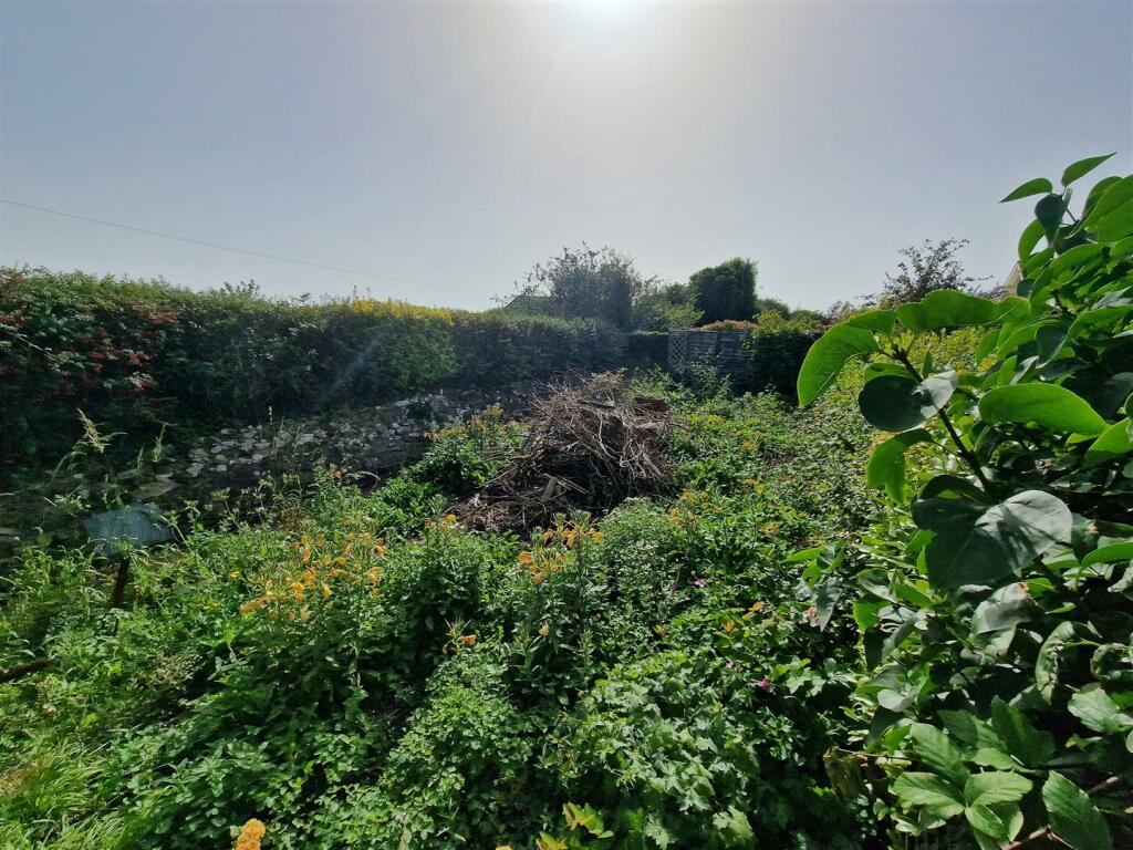 Bottom Garden.jpg