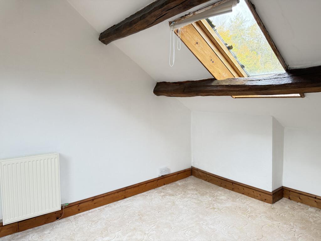 IMG 1716 T202510301635.jpg