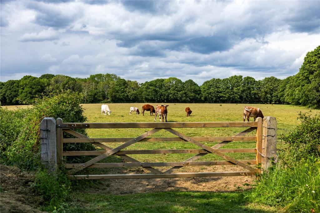 Gate To Field