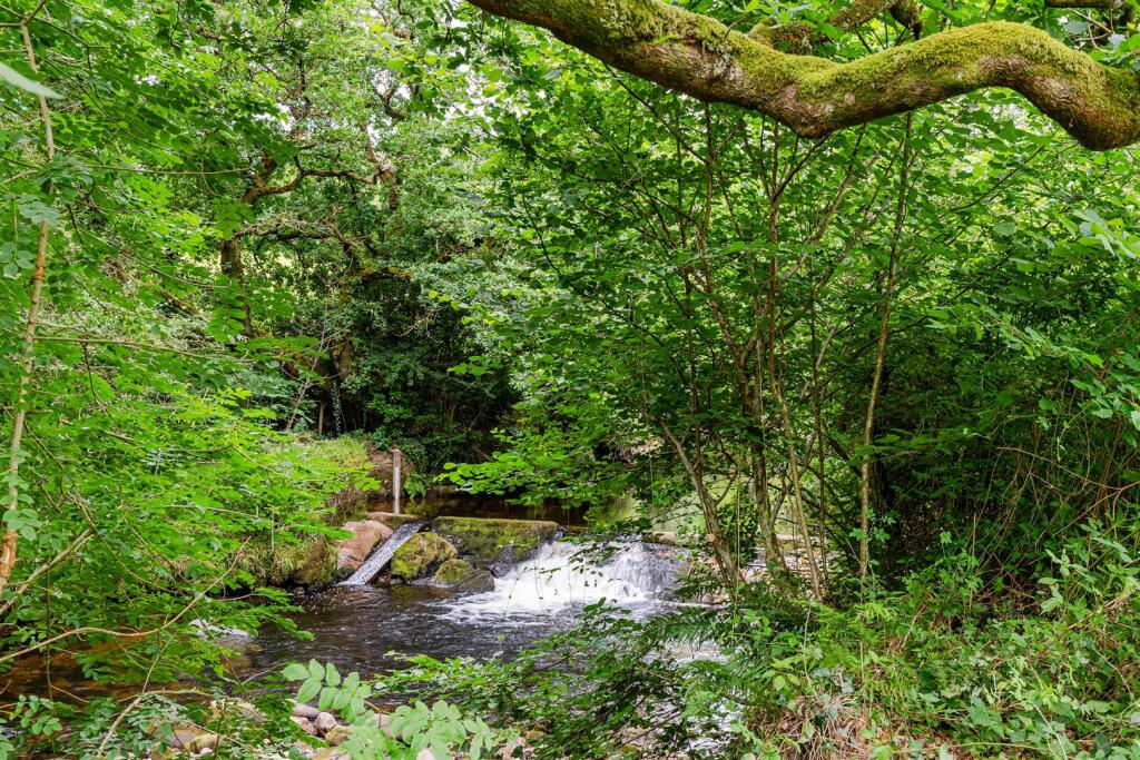 A08 - 2 Lutton Cottages South Brent - 250701.jpg