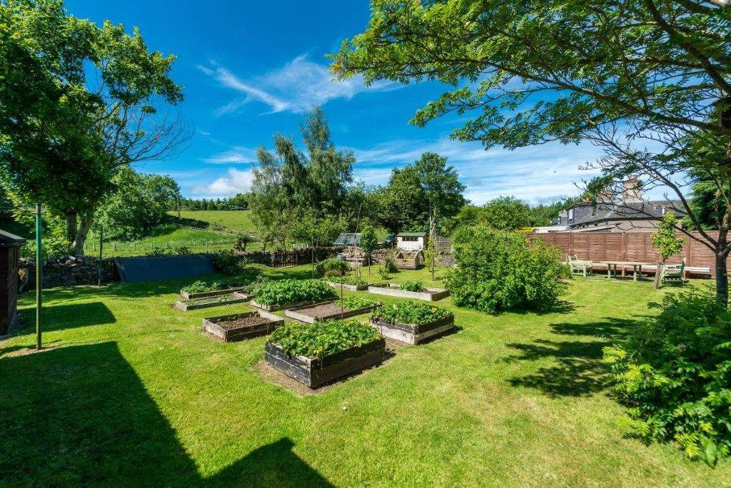 Orchard Garden 1