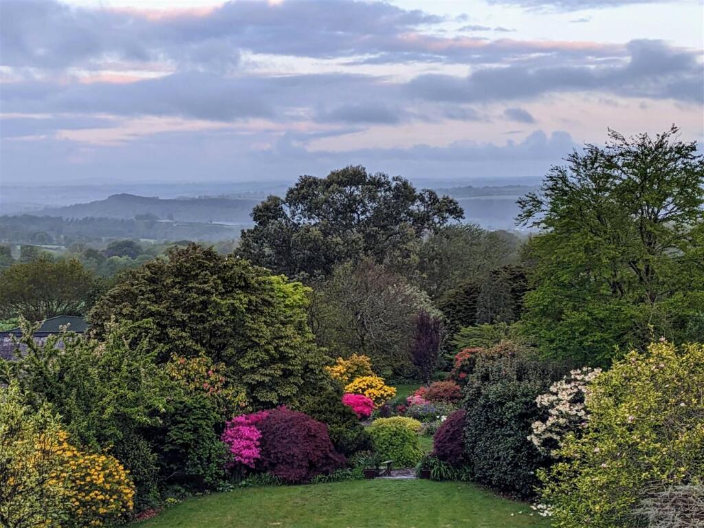 Vendor images (4).jpg