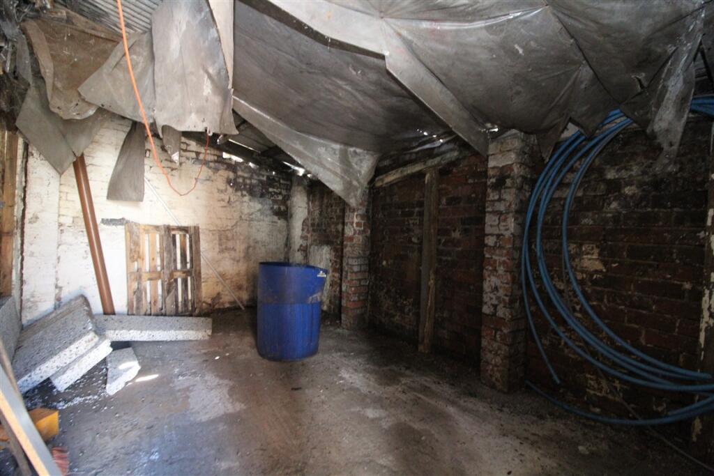 IMG 4915  Medium  T202504091055.jpg