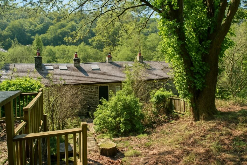 Garden rear