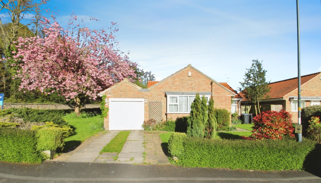 user_edited_photo-2c369015_user-edited-84ea6639-b2