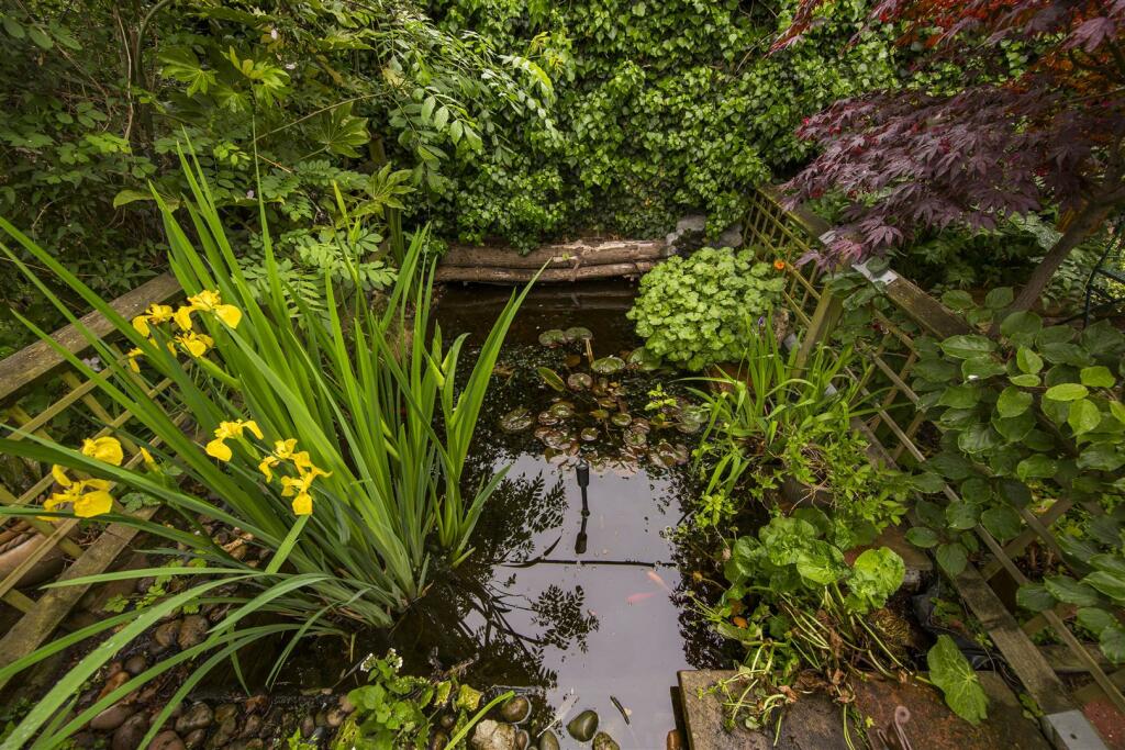 Garden Feature
