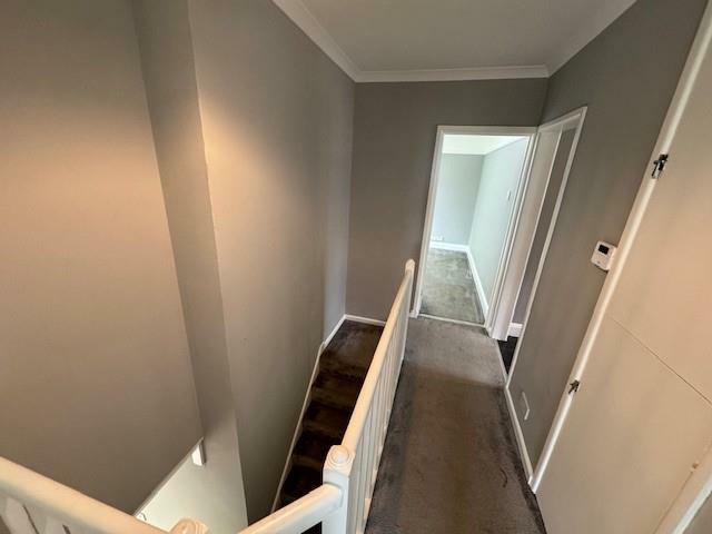 stairs.jpg