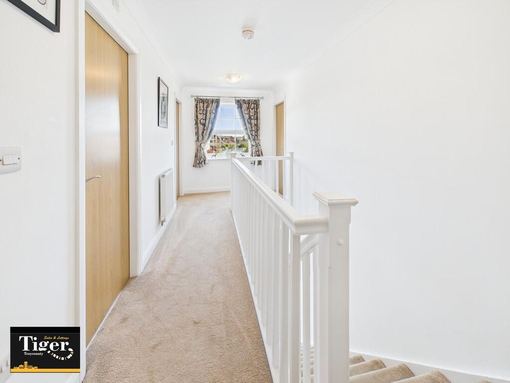 CAM02176G0-PR0538...