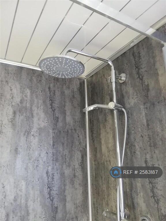 Rose Head/Flexi Shower Head