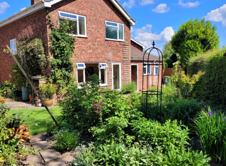 23. Summer Garden