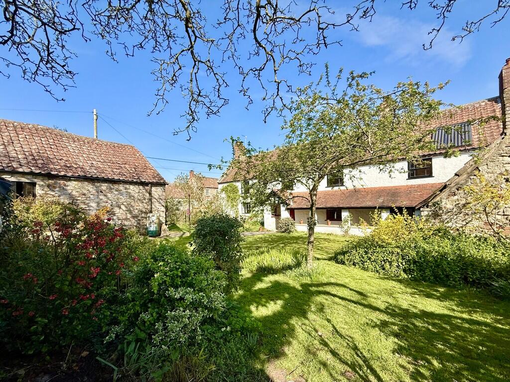 Front view from g...