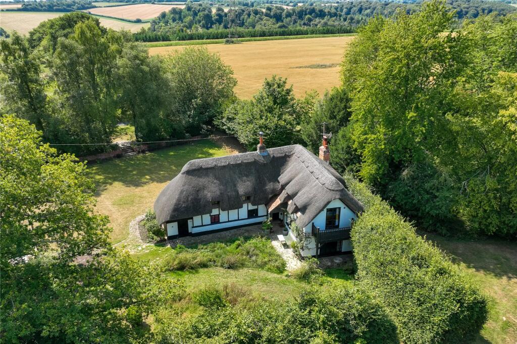 Thatch