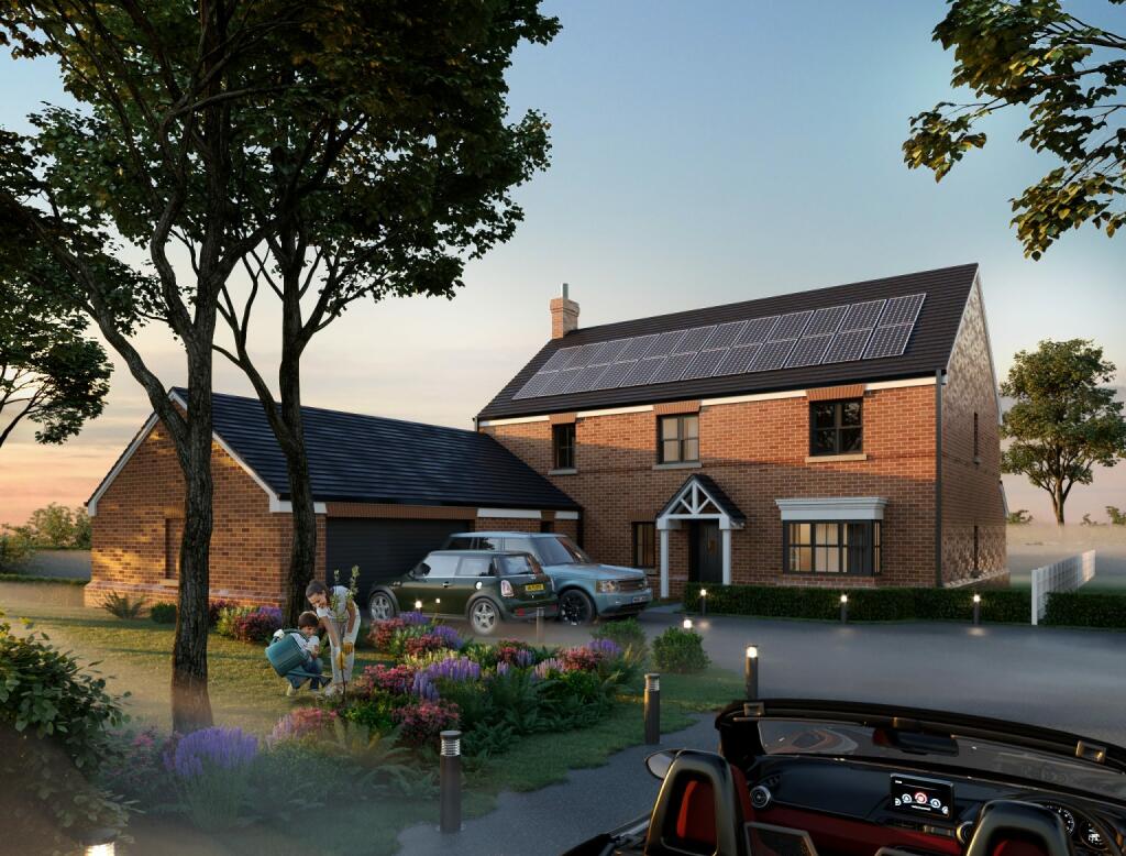 Plot 1 CGI