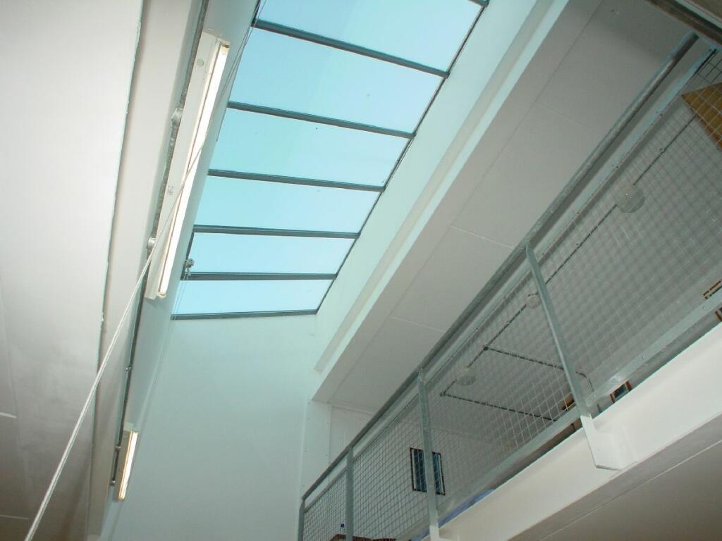 Roof Light