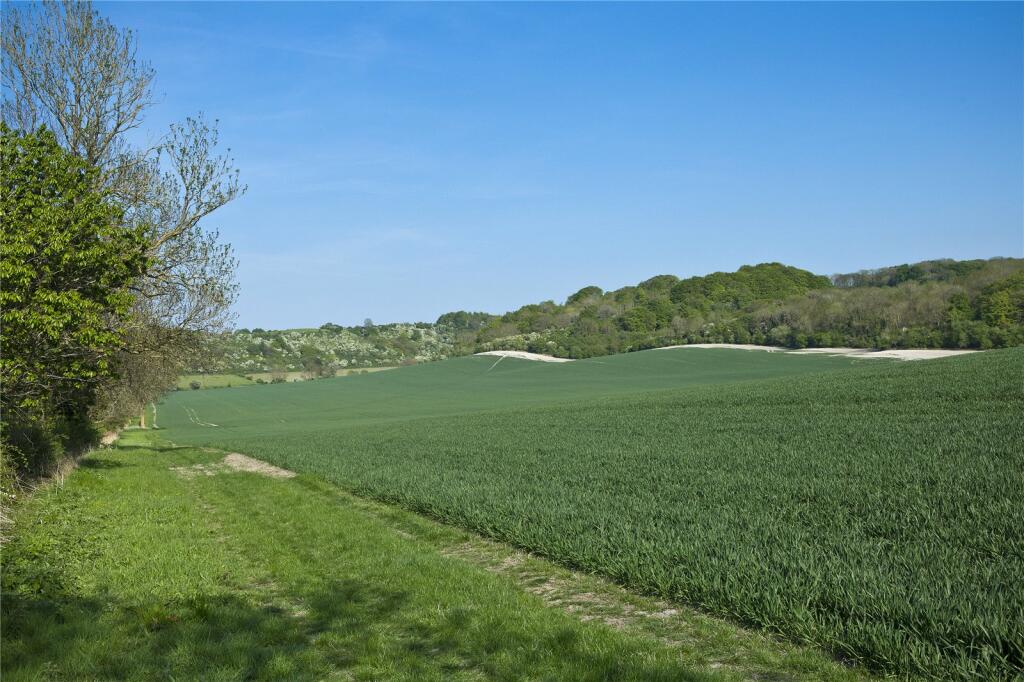 Lot 3- Arable Land