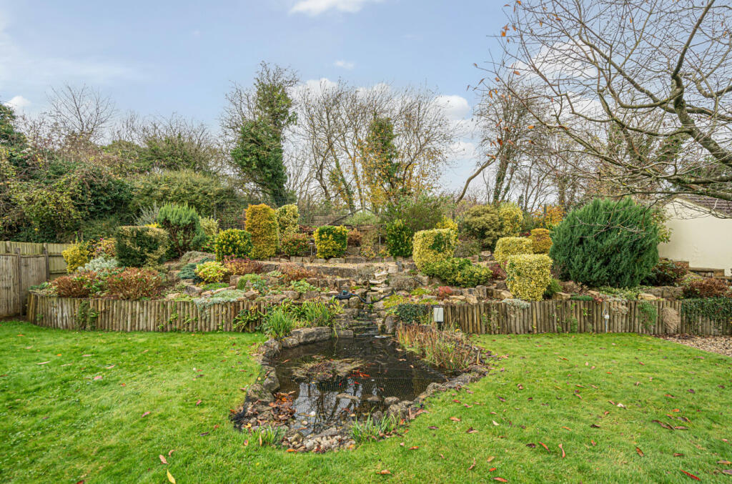 Picture 17