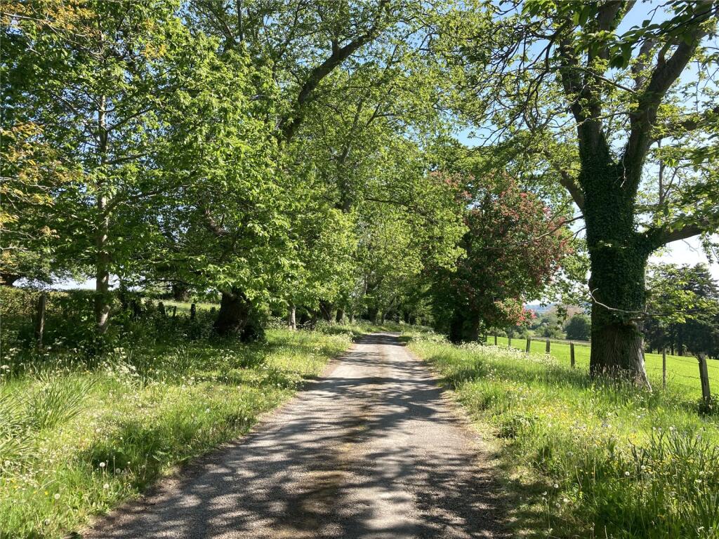 Estate Driveway