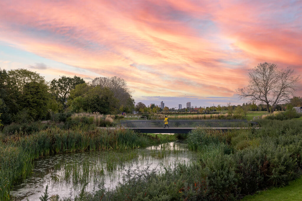 Springfield Park - Pond