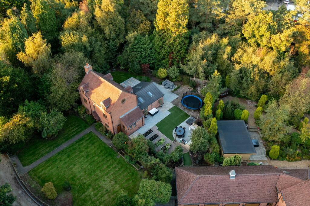 Drone View