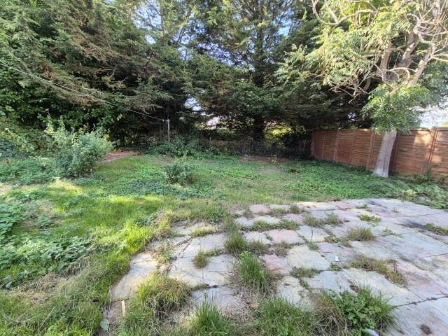 20241007 143944 (Small) T202411041100.jpg