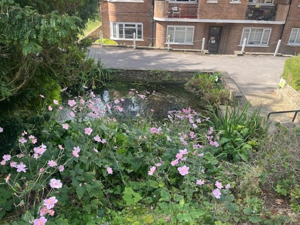 water feature out...