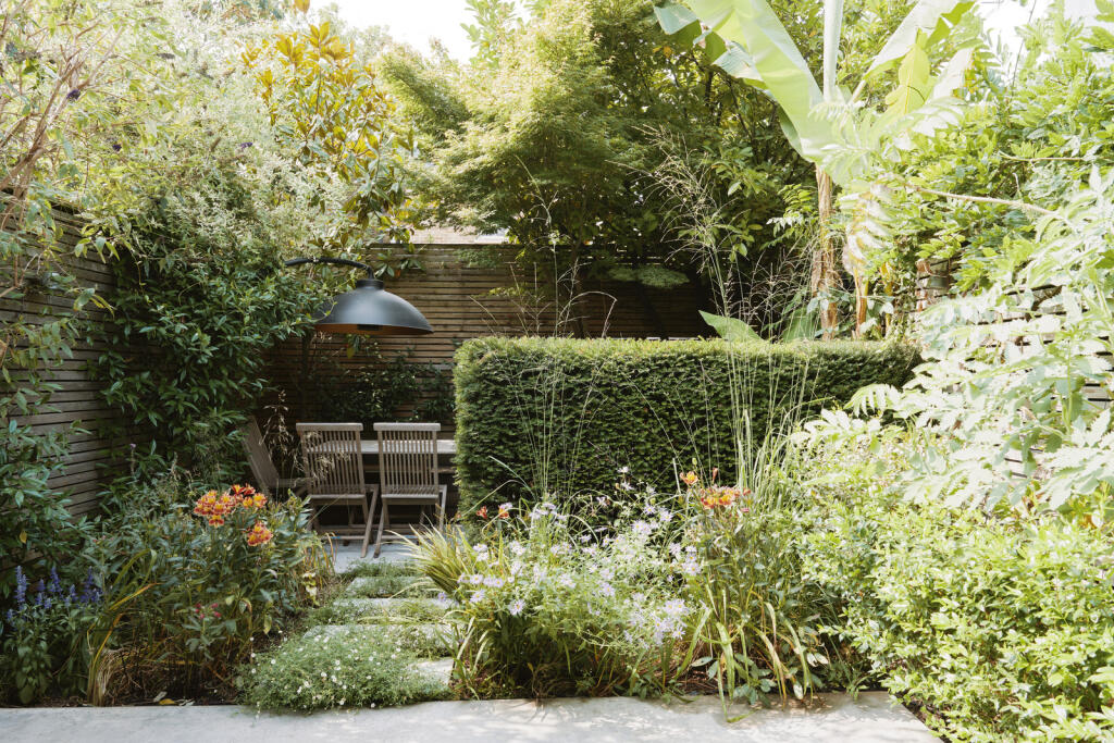 306536 - DSC02239.jpg