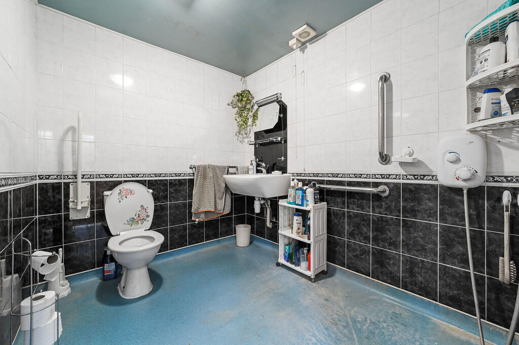 PT-DB(WP)-TheRose...