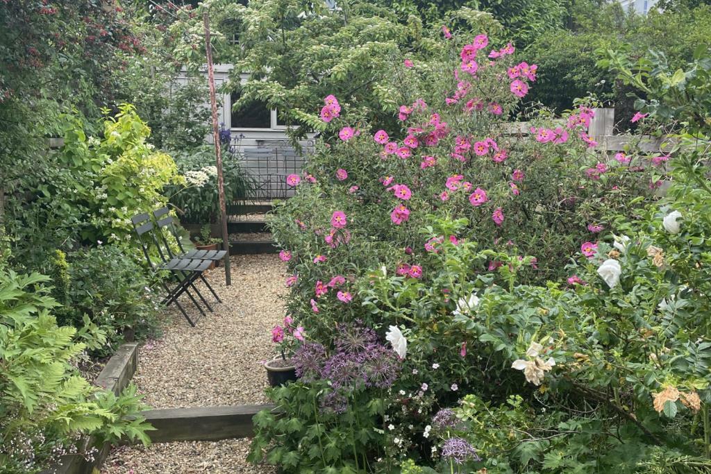 Alexandra Road summer garden 2_landscape.jpg