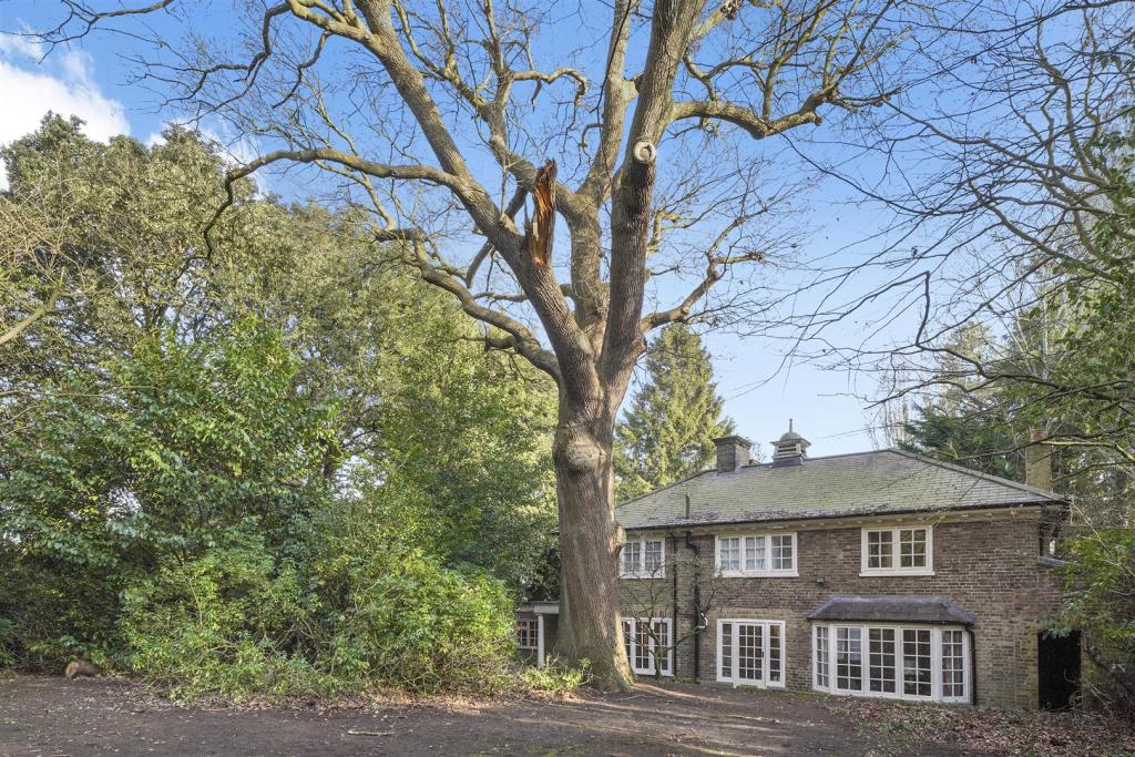 Bell House, Julian Hill - b358jU8GWQ0Sye4nJc1Q.jpg