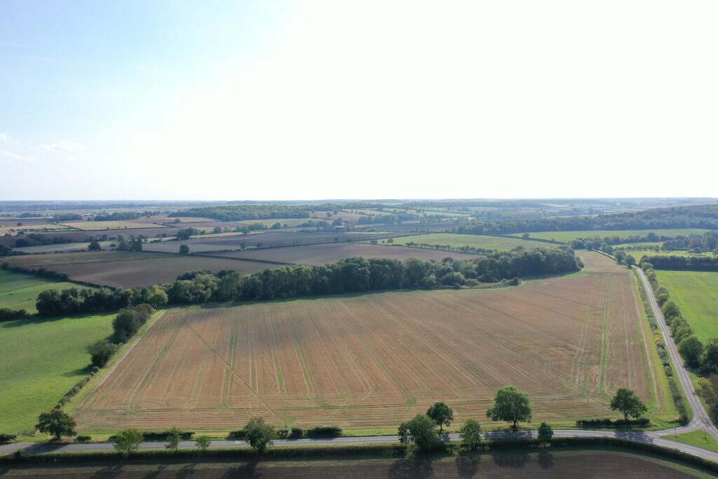 DJI_0954