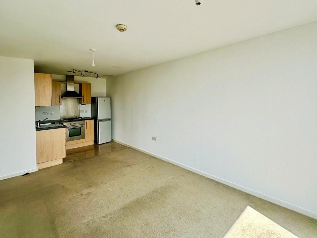 Living Area/Kitchen