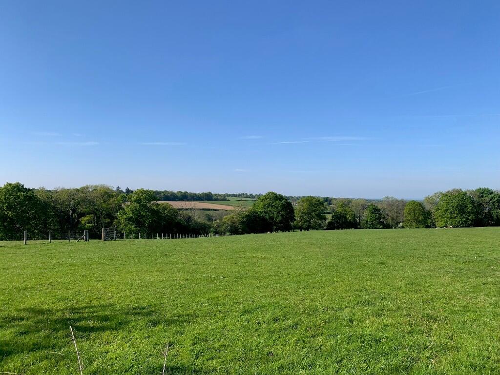 Adjoining fields