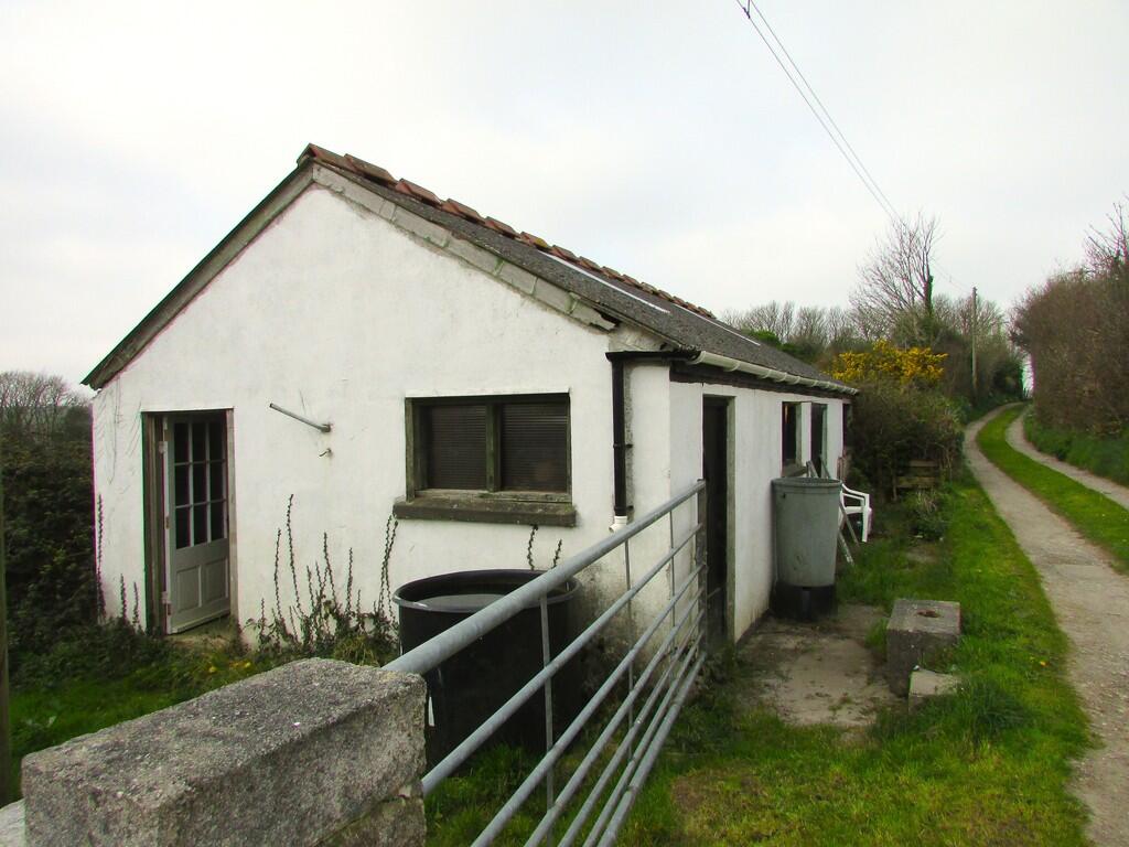 Cows House, avail...