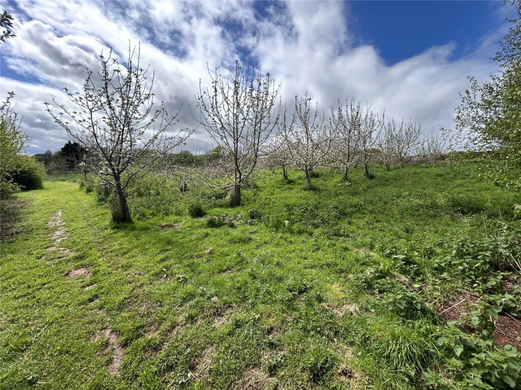 Picture No. 11