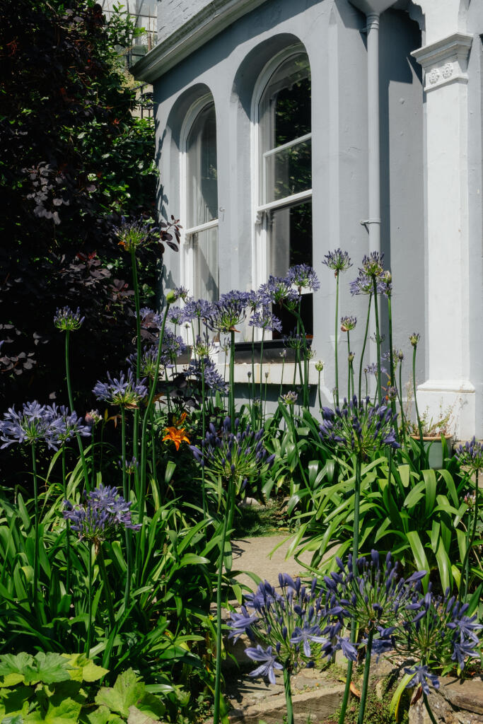 CROFT-ELPHINSTONE-HASTINGS-EXTERIOR-LR-6